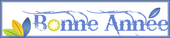 upload/12813-Bonneannee.png