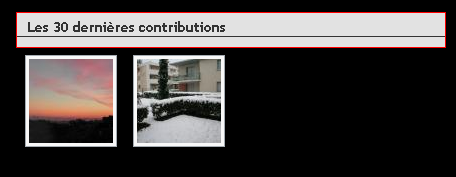 upload/4823-divimbrique.png