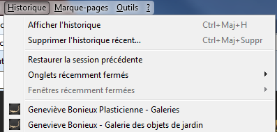 upload/48769-Historique.png