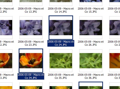 upload/5510-apercu.jpg